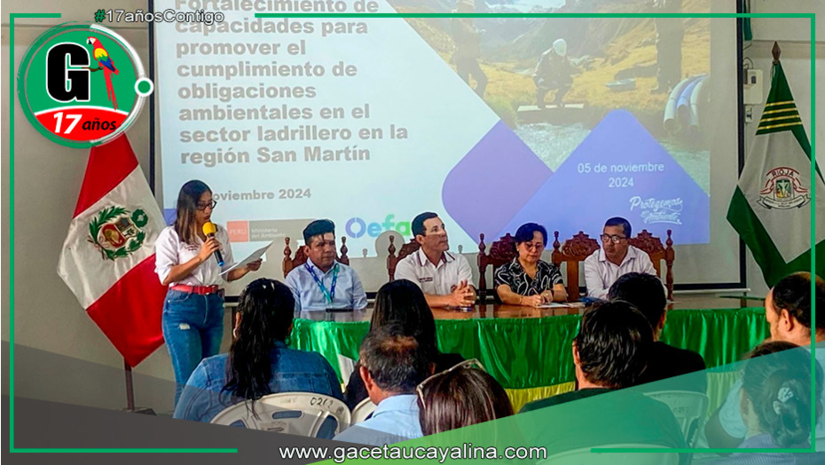 Ladrilleras conocen experiencias de Colombia para reducir el impacto ambiental