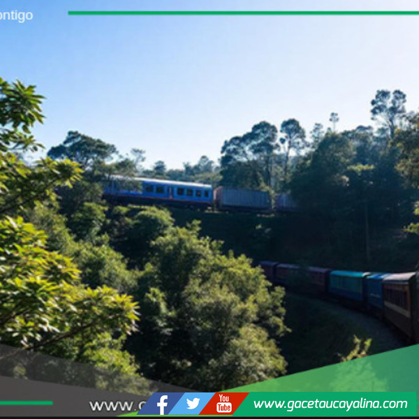 Tren Amazónico: Uniendo Perú con Brasil.