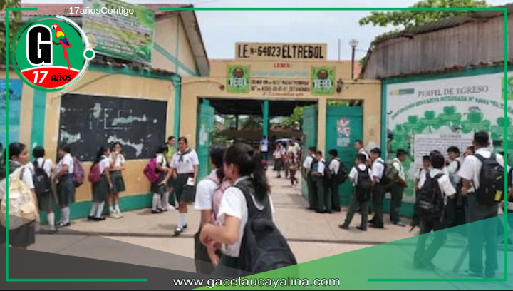 Niños y Adolescentes Afectados en Edad Escolar.