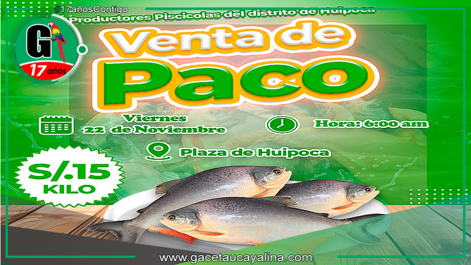 Venta de paco a precio accesible