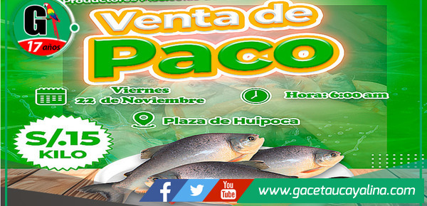 Venta de paco a precio accesible
