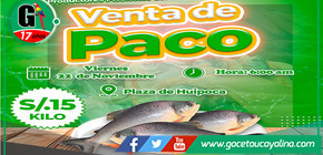 Venta de paco a precio accesible