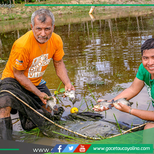 Devida capacita a familias del Putumayo en crianza de peces