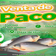 Venta de paco a precio accesible