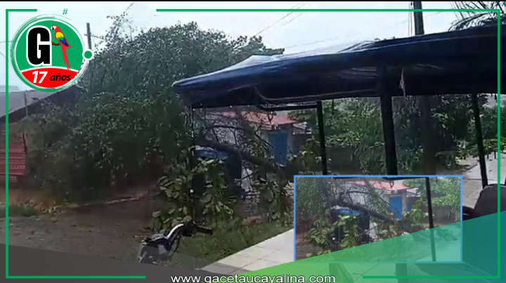 Árbol cae sobre motocar y se reporta dos viviendas inundadas.