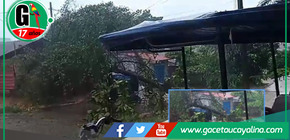 Árbol cae sobre motocar y se reporta dos viviendas inundadas.