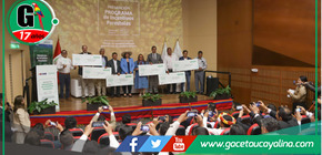 Gobierno destina S/ 30 millones para reforestación comercial en seis regiones