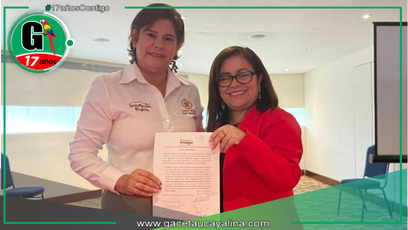 San Martín se suma a estrategia nacional contra violencia sexual infantil