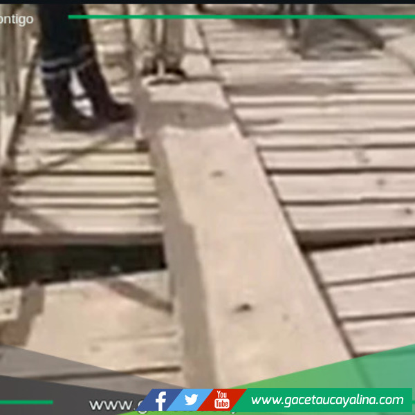 La Restinga en Yarinacocha: Un Llamado a la Acción.