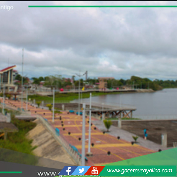 Gobernadores Muestran Avances en Gestión 2024.