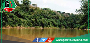 Pobladores de Purús logran aprobación de concesión para conservar bosques.