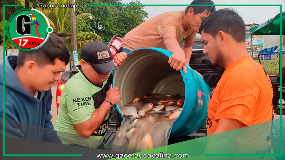 Municipalidad de Atalaya ofrece pescado Paco a bajo costo