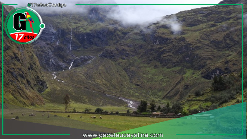 Minam impulsa proyecto para restaurar bosques en corredor Andes Amazónico