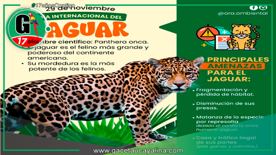 Perú conmemora el Día Internacional del Jaguar
