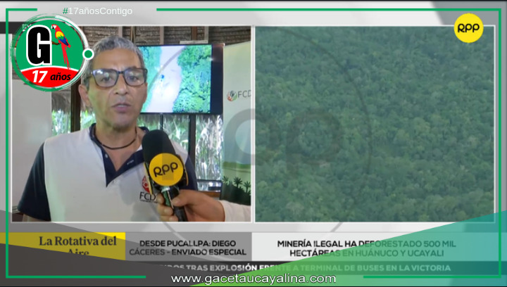 Minería ilegal deforesta 500 mil hectáreas en Huánuco y Ucayali.