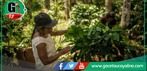 Mil familias nativas reciben incentivos por preservar ecosistemas amazónicos