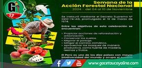 Promueven reforestación y cuidado de los bosques en Perú