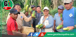 Éxito de la Feria Comunal en Purús.