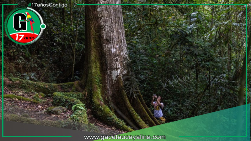 Sernanp lanza promoción 2x1 en ocho áreas naturales protegidas durante cumbre APEC