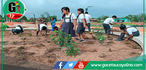  Plantación de árboles y plantas en la Plaza Mayor de Yurúa