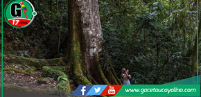 Sernanp lanza promoción 2x1 en ocho áreas naturales protegidas durante cumbre APEC