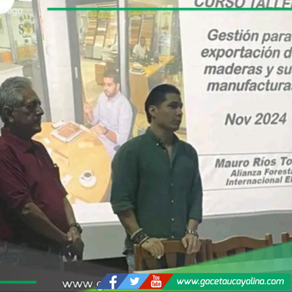 Cámara de Comercio de Ucayali impulsa exportaciones forestales.