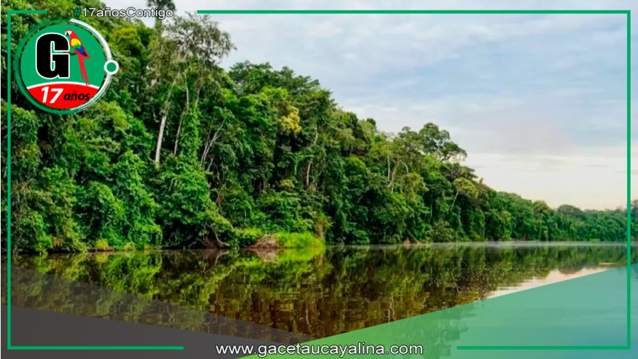 CADE destaca retos y oportunidades en la Amazonía