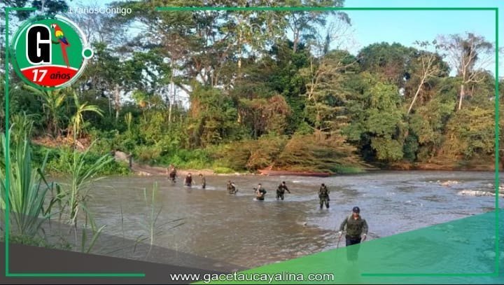 Deforestación crítica por minería ilegal que afecta Ucayali, Huánuco y Pasco.