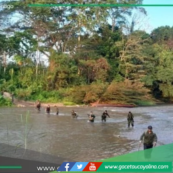 Deforestación crítica por minería ilegal que afecta Ucayali, Huánuco y Pasco.