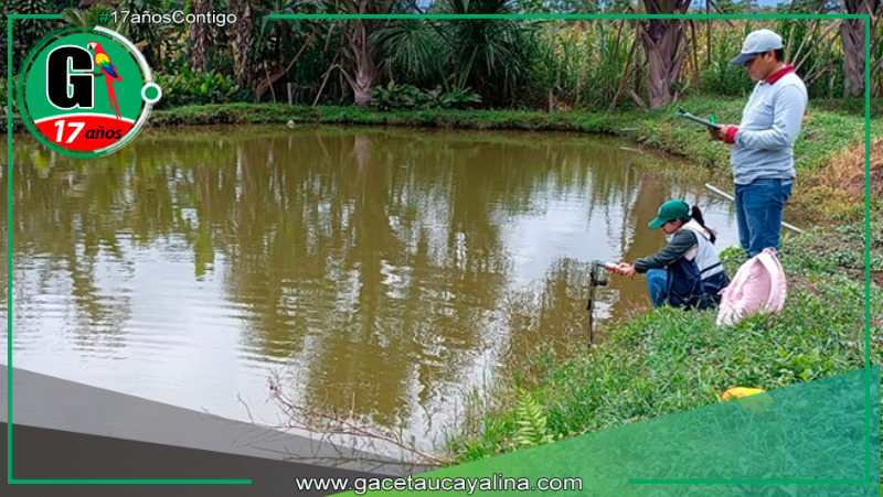 Direpro San Martín realiza 60 monitoreos de calidad de agua en centros acuícolas
