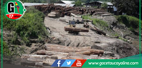 Líder Asheninka condenado a 8 años de prisión.