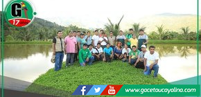 Productores de Puno, Madre de Dios y Cusco aprenden modelo de desarrollo sostenible en Vraem