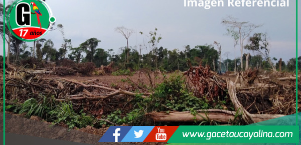 Caso Zanja Seca: Negociación Incompatible.