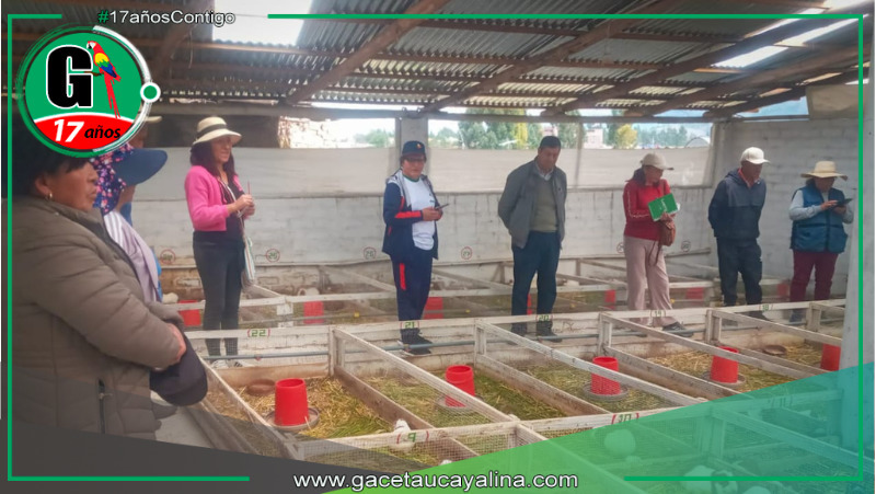 Midagri impulsa innovación en crianza de cuyes con millonaria inversión