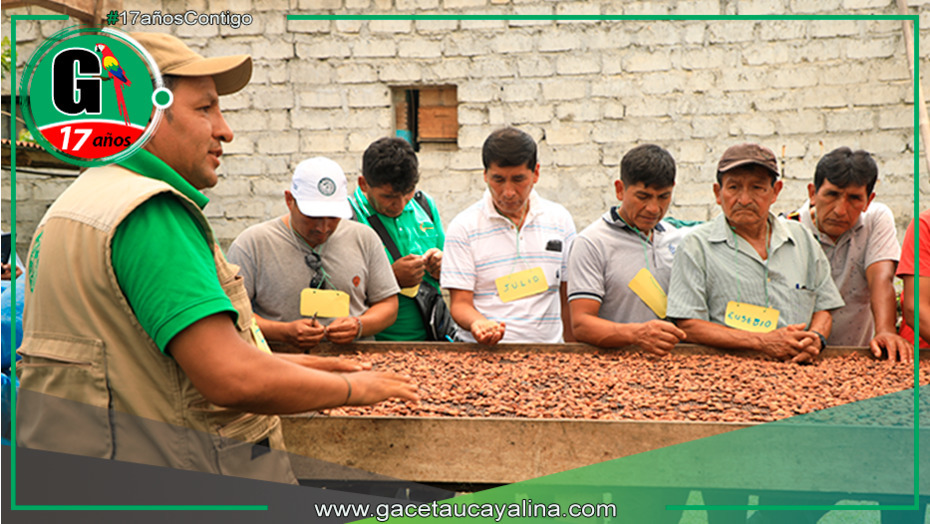 Productores de Puno, Cusco y Madre de Dios intercambian experiencias agrícolas en el Vraem