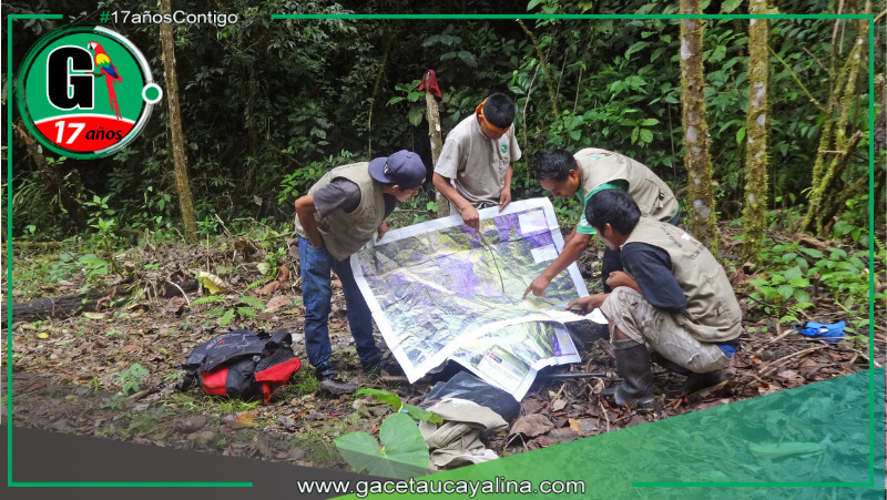 MINAM fortalece a 837 custodios forestales para proteger la Amazonía