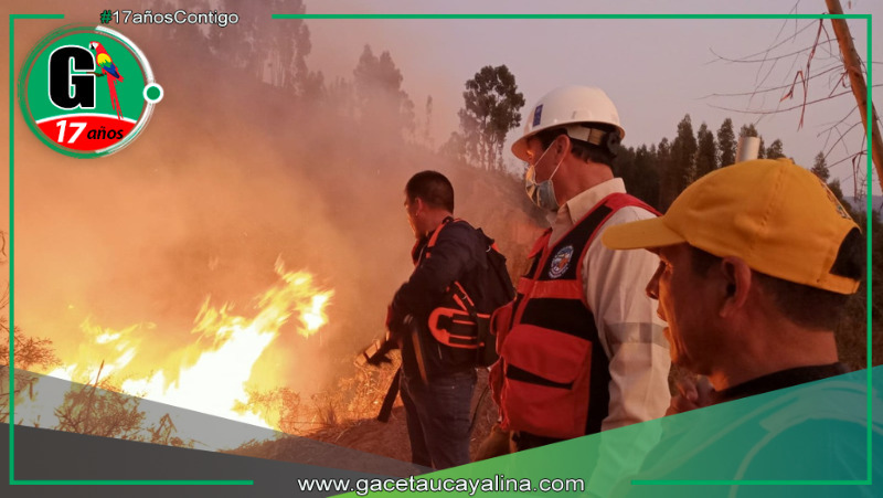 Investigadores revelan devastadores efectos de incendios forestales en suelos de Cusco