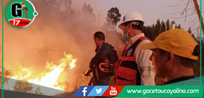 Investigadores revelan devastadores efectos de incendios forestales en suelos de Cusco