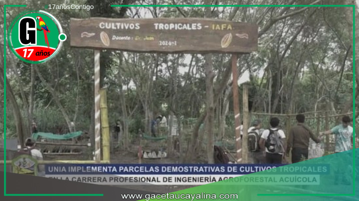 Estudiantes de IAFA-UNIA crean parcelas demostrativas de cultivos tropicales.