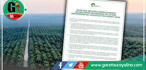 Ocho Sur desmiente a ONG EIA y afirma que desde 2016 protege y conserva los bosques