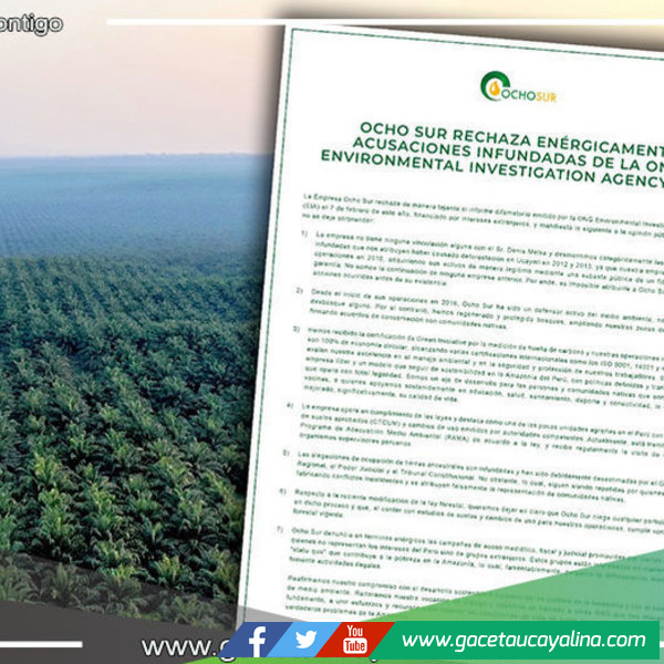 Ocho Sur desmiente a ONG EIA y afirma que desde 2016 protege y conserva los bosques