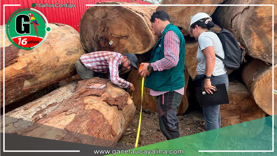 Aprueban la creación de estándar de competencia laboral en gestión de información de trazabilidad de la madera