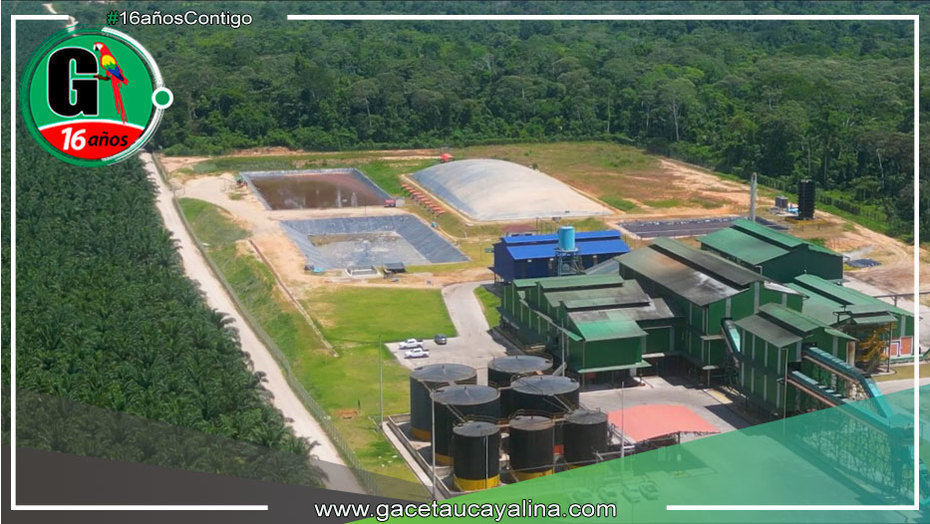 Grupo Ocho Sur Impulsa Proyecto “Industrial de Oleaginosas” con Inversión Significativa en Ucayali