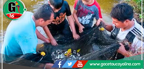 Alcalde John Salcedo Ríos lidera Acciones contra la Desnutrición y Anemia en Sepahua