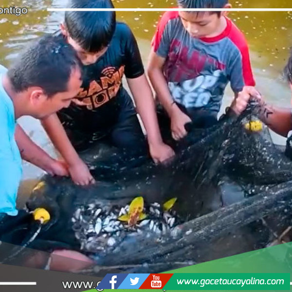 Alcalde John Salcedo Ríos lidera Acciones contra la Desnutrición y Anemia en Sepahua