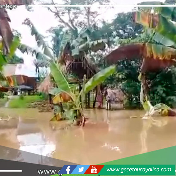 Apu Roy Jijida Nonato solicita apoyo urgente ante la devastación en 43 comunidades de Purús por las intensas lluvias