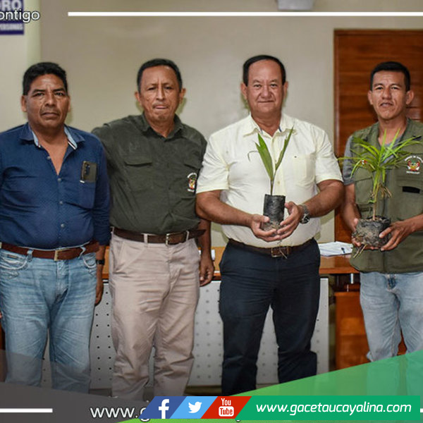 Alcalde de Atalaya y Organizaciones Presentan Proyecto de Aprovechamiento Forestal