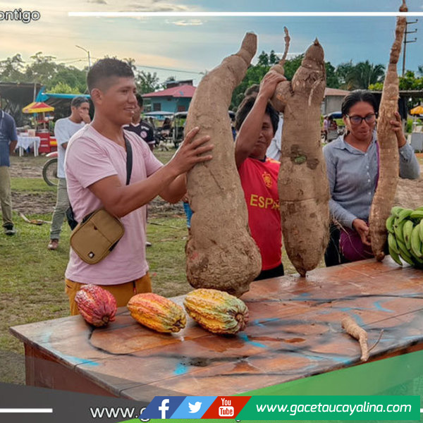Selecciones de lo Mejor en la Feria Agropecuaria y Ginkana del Carnaval, la Yuca, Cacao, Racimo de Plátano y Gallo más grande