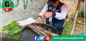 Geresa Loreto inspecciona 800 viviendas en lucha contra el dengue