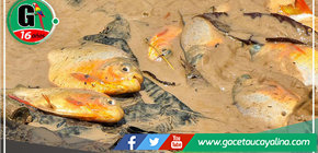 Municipalidad de Sepahua estimula crecimiento de piscicultores